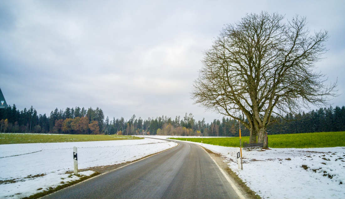 Foto: Martin Zehrer - 12. November 2016... Es ist ein bisschen Winter ;-) 