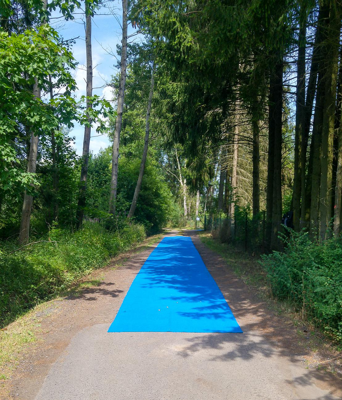 Foto: Martin Zehrer - Ein blauer Teppich im Wald... Einlaufzone für die Athleten... 