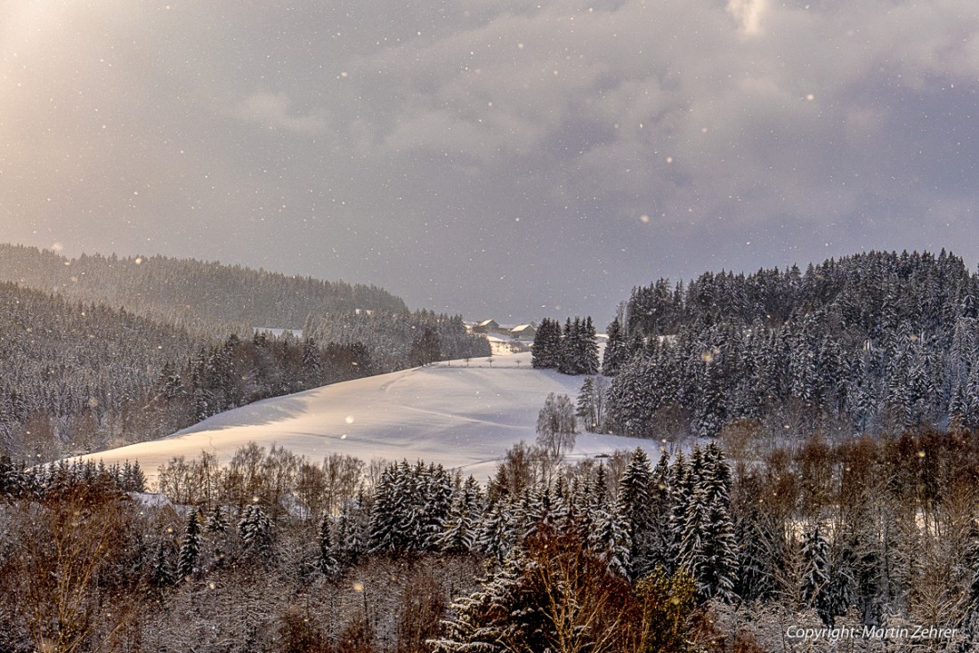Foto: Martin Zehrer - Es schneit - Blick vom Steinwald Richtung Godas 