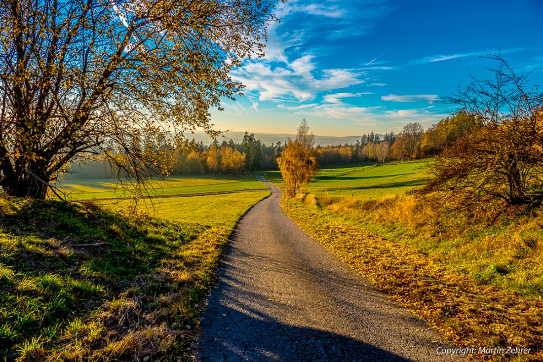 Foto: Martin Zehrer - Die Straße zwischen Godas und Neusteinreuth an einem wunderschönen Herbst-Nachmittag. 2. Nov. 2015 