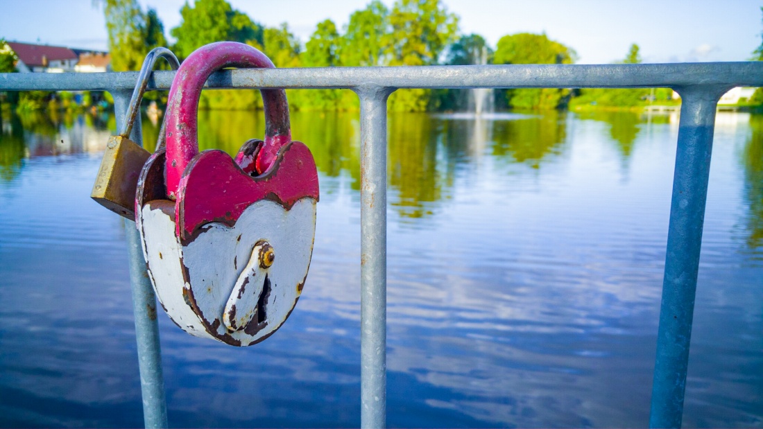 Foto: Martin Zehrer - Große Liebe, großes Schloß!<br />
<br />
Gesehen am kemnather Stadtweiher... 