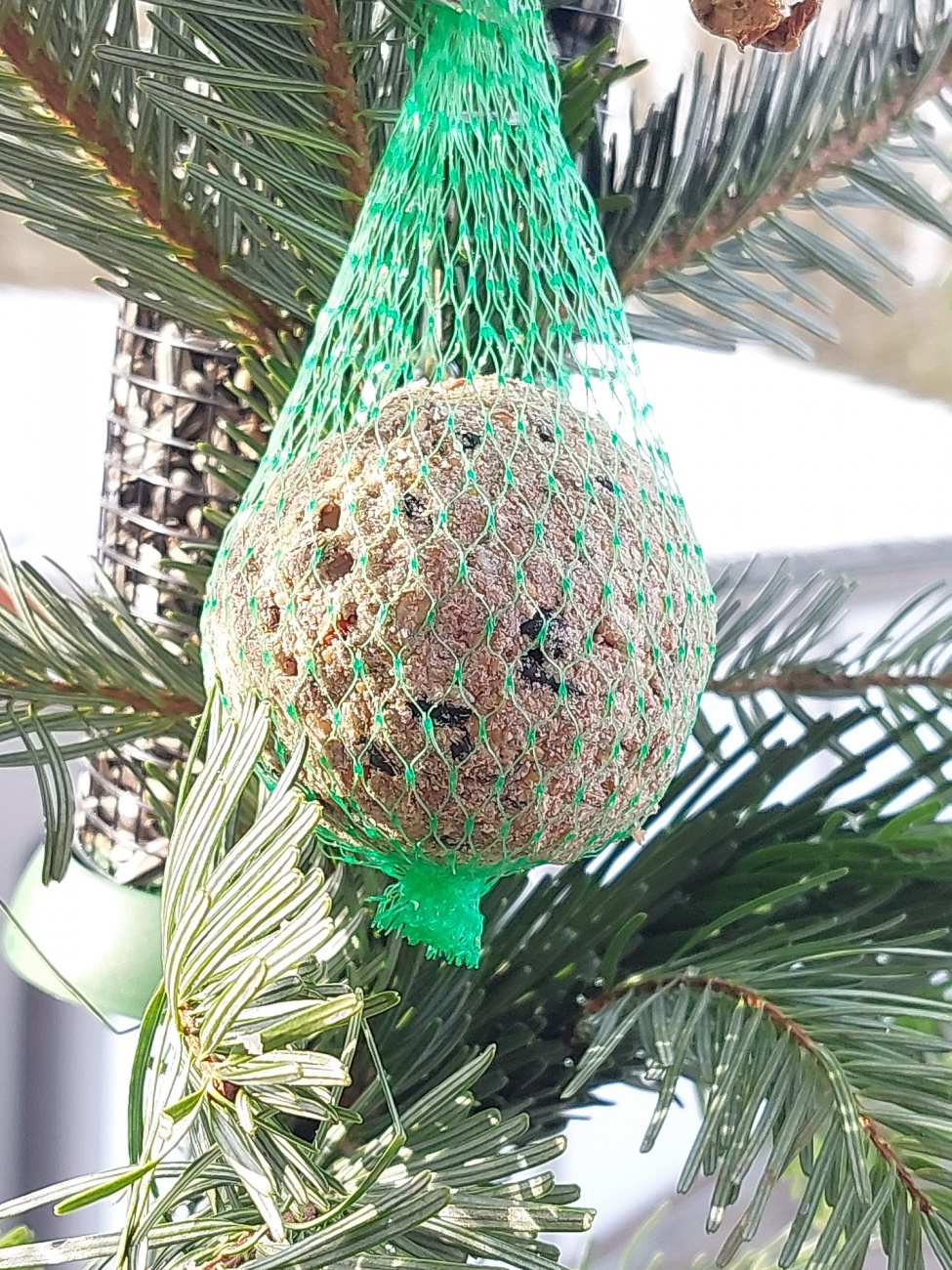 Foto: Martin Zehrer - In winterlicher Stille wiegt die Futterkugel sanft, ein kostbarer Schatz für gefiederte Gäste, die sich im frostigen Glanz des Lebens neu erfinden. <br />
Grünes Netz umschließ 