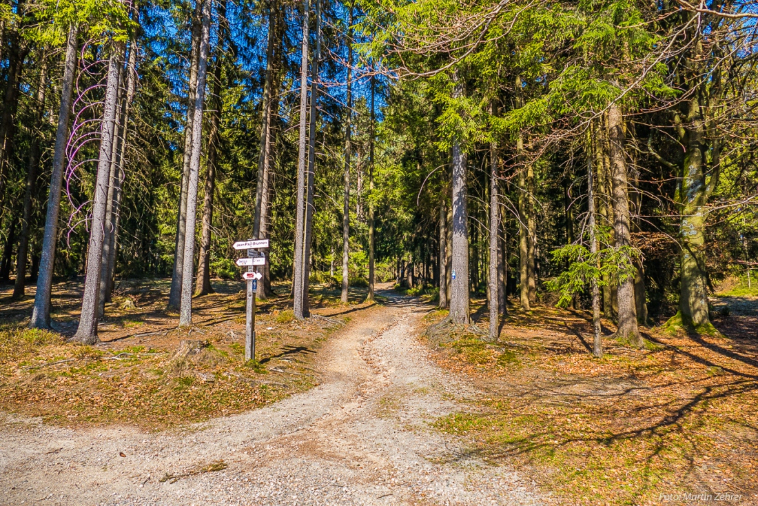 Foto: Martin Zehrer - Wer die Wahl hat... Wanderwege rund um den Fichtelsee... 