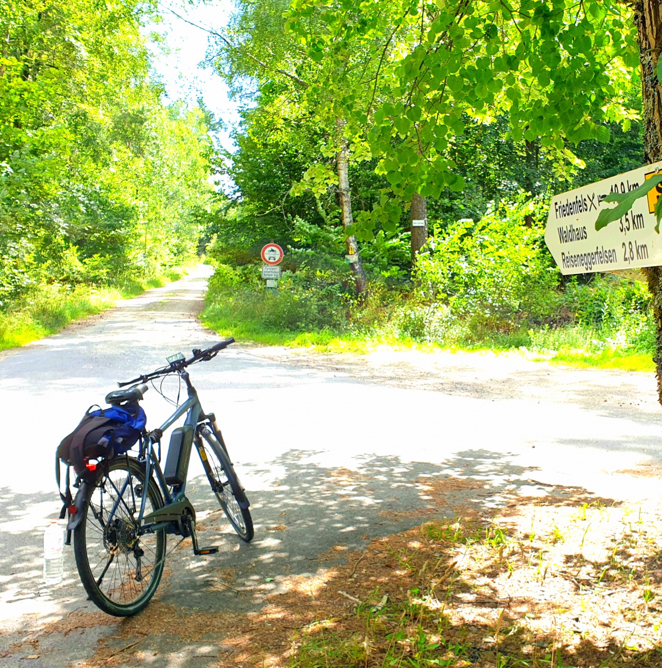 Foto: Martin Zehrer - Zum Waldhaus gehts hier, oberhalb von Haselbrunn,  3,5  Kilometer durch den Steinwald.<br />
<br />
Radtour: <br />
Immenreuth - Kulmain - Aign - Riglasreuth - Lochau - Haselbrunn - dur 