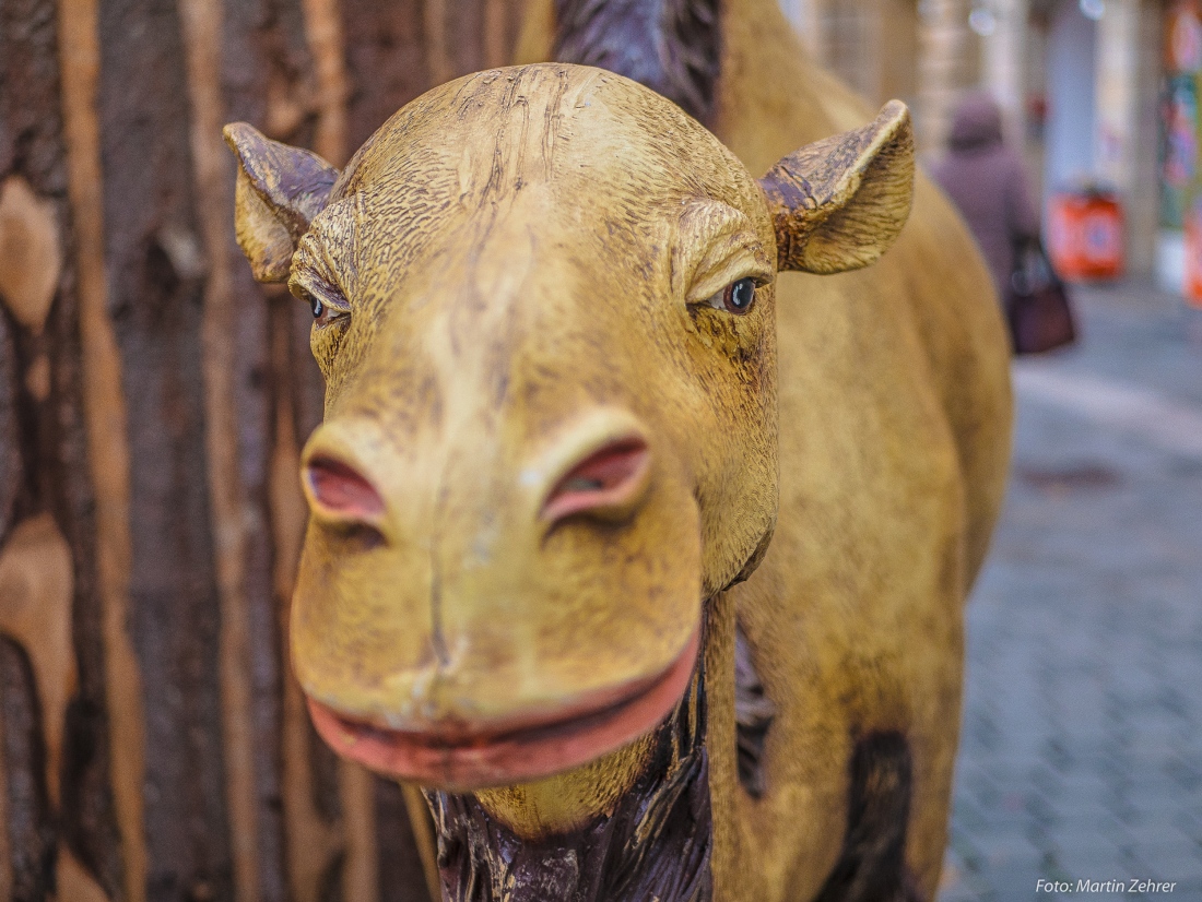 Foto: Martin Zehrer - In Bayreuth an der Krippe getroffen... ;-) 