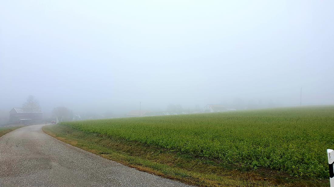 Foto: Martin Zehrer - Godas im Nebel...<br />
<br />
Wetter am 10. Dezember 2020<br />
<br />
Temperatur ca. 1-2 Grad 