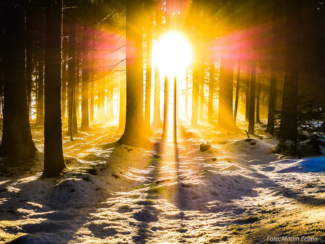 Foto: Martin Zehrer - Winter am 23. Dezember 2017 - Das BESOLD-SONNEN-KREUTZ!!! ;-)<br />
<br />
Nach Wochen trüben Wetters knallten plötzlich die Sonnenstrahlen durch den Wald bei Hermannsreuth!!! :-) 