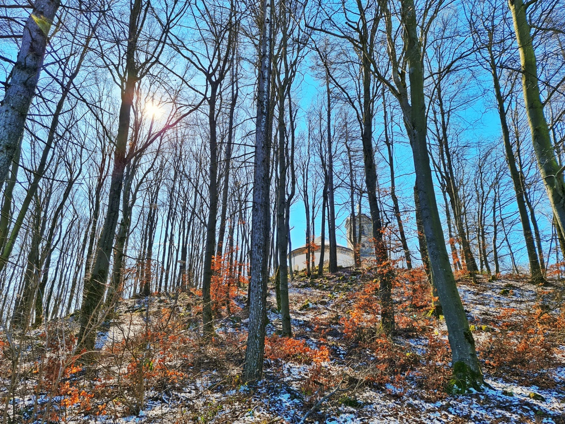 Foto: Jennifer Müller - ...ein gemütlicher Spaziergang  durch den Frühlingswald am Armesberg nach einem tollen Essen... 