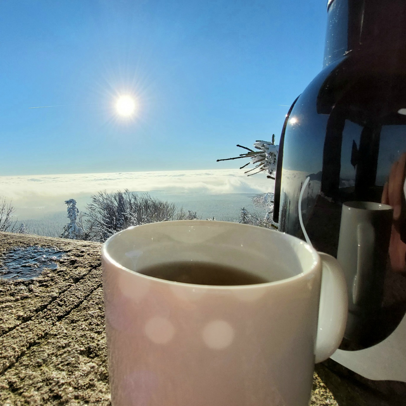 Foto: Martin Zehrer - Kösseine-Wanderung in den Sonnen-Himmel hinauf!<br />
Seit Tagen und Wochen herrscht trübes bzw. nebeliges Wetter. Am Freitag, den 14. Januar 2022 packte mein Mäuschen den Ruc 