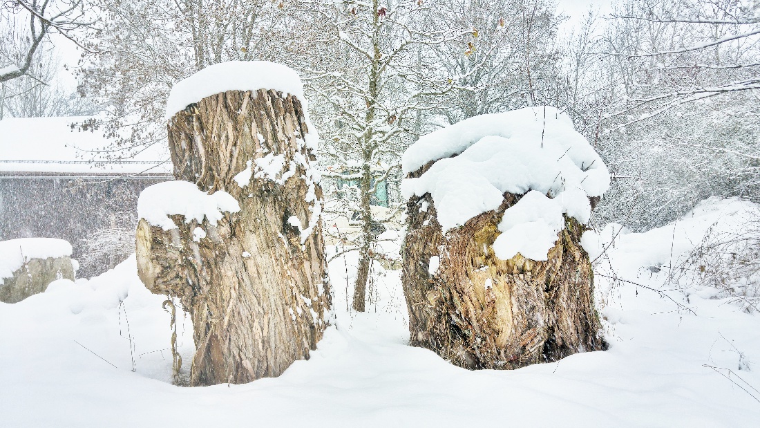 Foto: Jennifer Müller - Und wieder wird Kemnath frisch "angezuckert" ;-)<br />
Aufgenommen am 19.01.2021 bei ca. -1 Grad und heftigem Schneetreiben... 