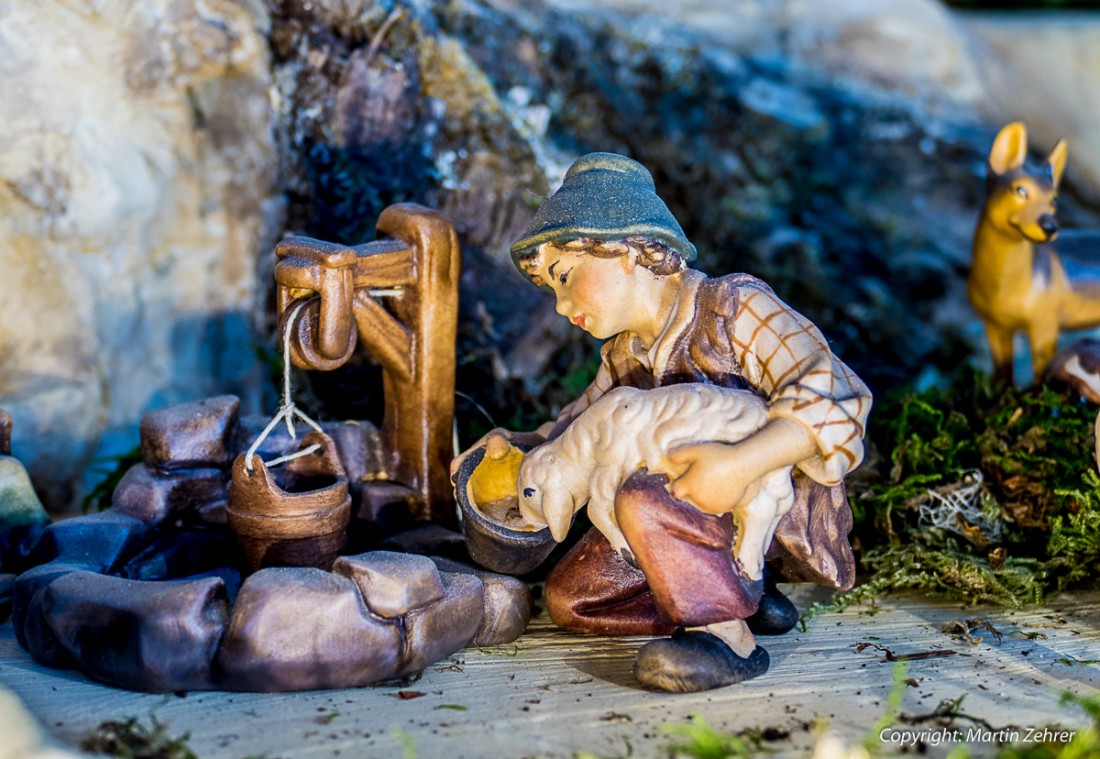 Foto: Martin Zehrer - Junge gibt Schäfchen zu trinken. Eine Szene aus der Krippe von Gerhard Schinner. 