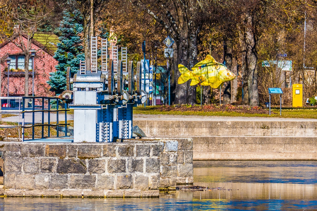 Foto: Martin Zehrer - Das Wehr vom kemnather Stadtweiher und im Hintergrund ein gelber Karpfen, der Teil des phantastischen Karpfenwegs in Kemnath ist. 