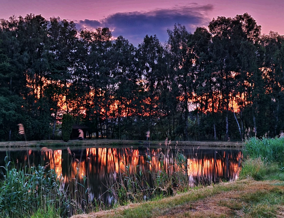 Foto: Jennifer Müller - Das Abendrot spiegelt sich im Wasser. 