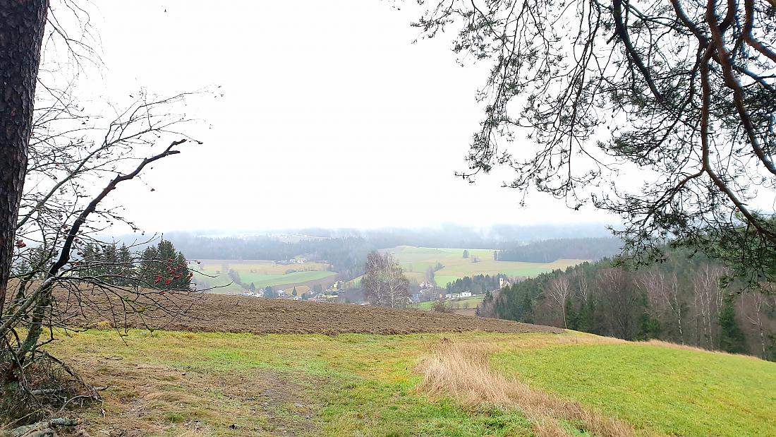 Foto: Martin Zehrer - Der Blick über Trevesen hinweg... 