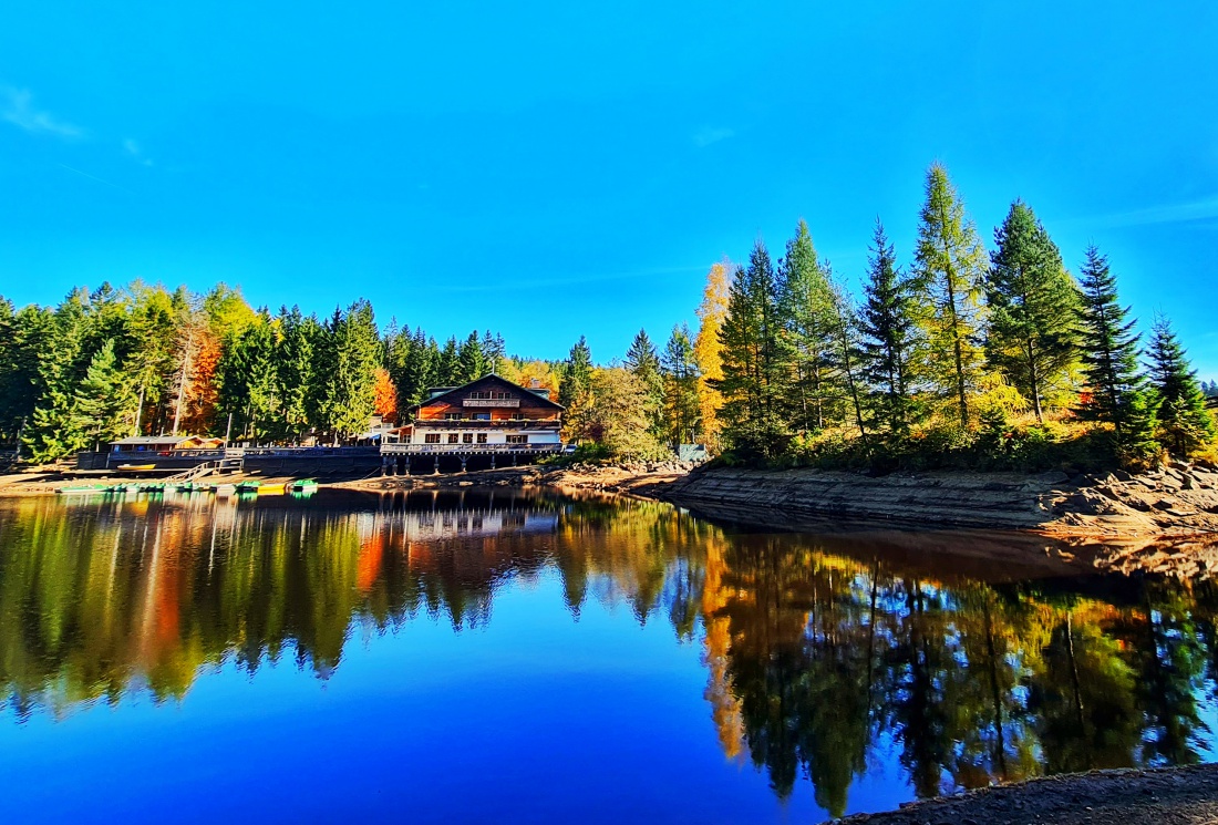 Foto: Jennifer Müller - Zuhause in Kemnath war es heute neblig und trüb. Also nichts wie raus und die Sonne suchen. Gefunden und genossen haben wir sie beim Spaziergang am Fichtelsee. 