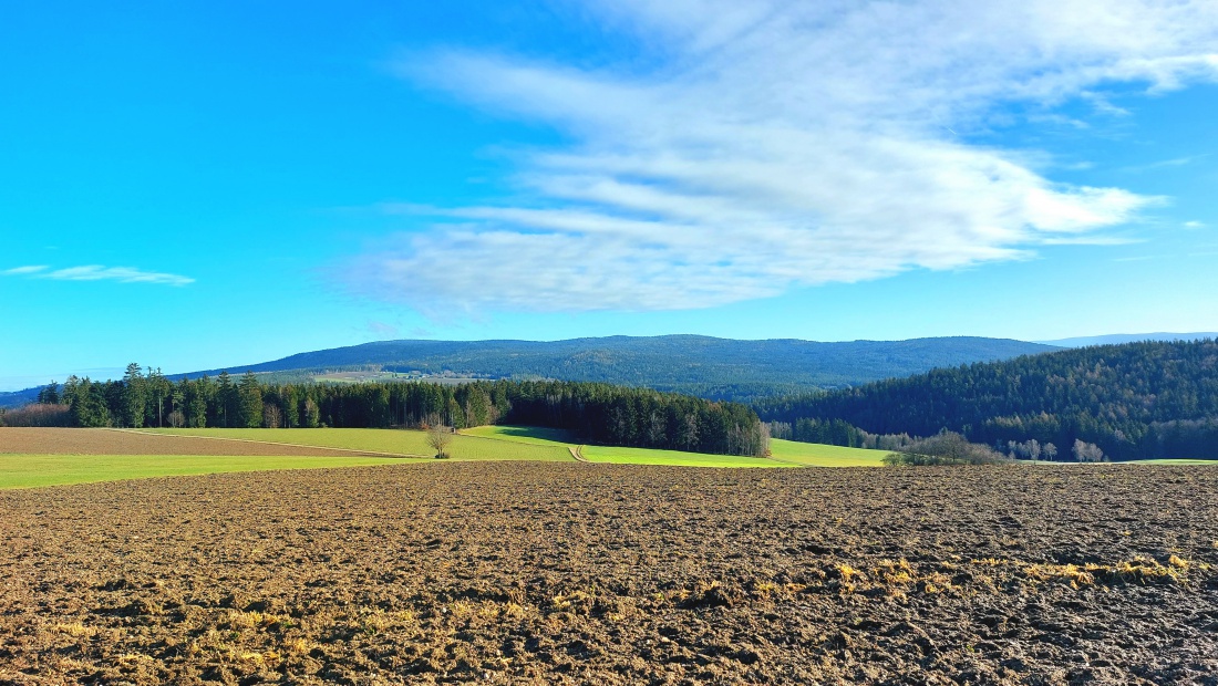 Foto: Martin Zehrer - Fast schon wie im Frühling... 