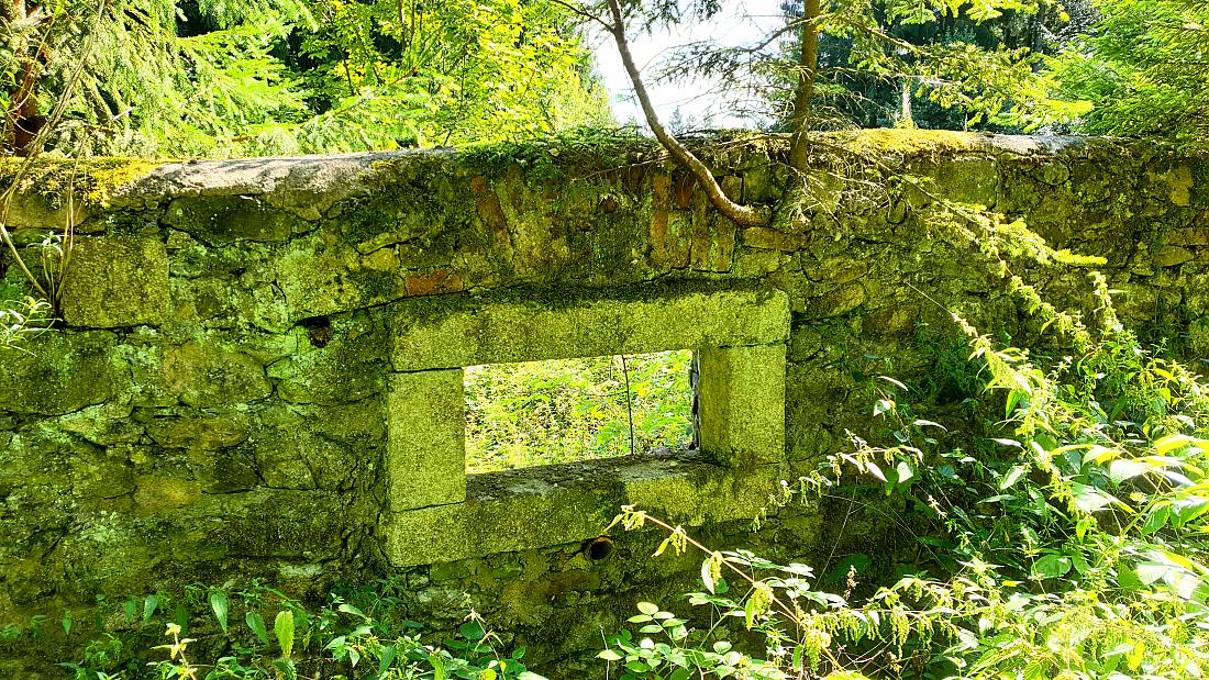 Foto: Martin Zehrer - Zissler-Haus, Ruine eines alten Bauernhauses im Zissler-Wald zwischen Godas und Zwergau....<br />
23. August 2020 