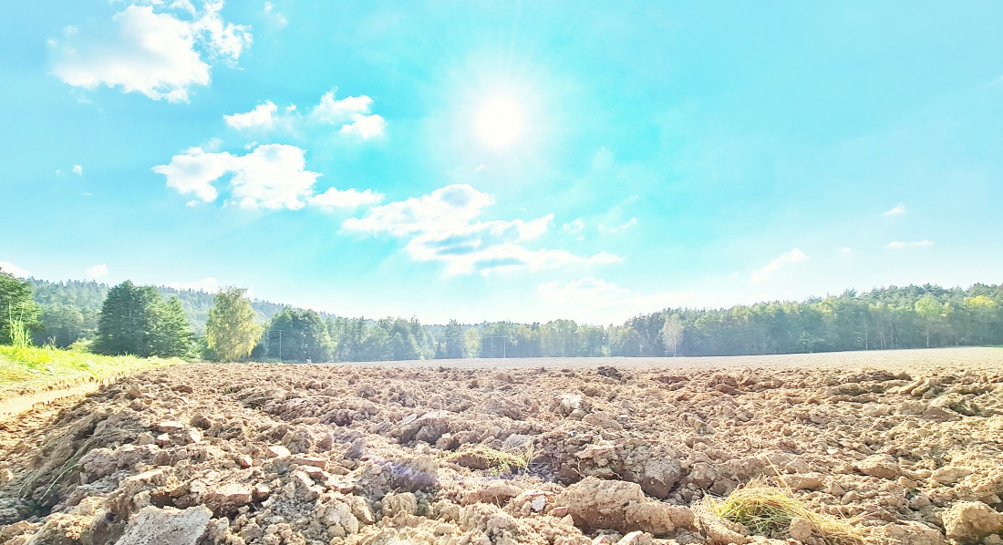 Foto: Jennifer Müller - Tolle Herbstwanderung am 08.10.2021 bei herrlichem Sonnenschein und ca. 14 Grad. Das Licht und die Farben sind zu dieser Jahreszeit richtig magisch... 