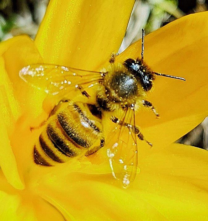 Foto: Jennifer Müller - Es wird Frühling in Kemnath! 