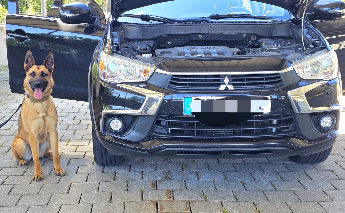 Das ist der nette Hund Mario - Mario sorgt im Hochsicherheits-Bereich dafür, dass keine verbotenen oder  gefährlichen Sachen in sensible Bereiche geschmuggelt werden. 
Mit viel Spürsinn nimmt er Kofferraum, Innenraum, Handschuhfach, Radläufe, uvm. des Fahrzeugs mit seiner Nase unter die Lupe. 