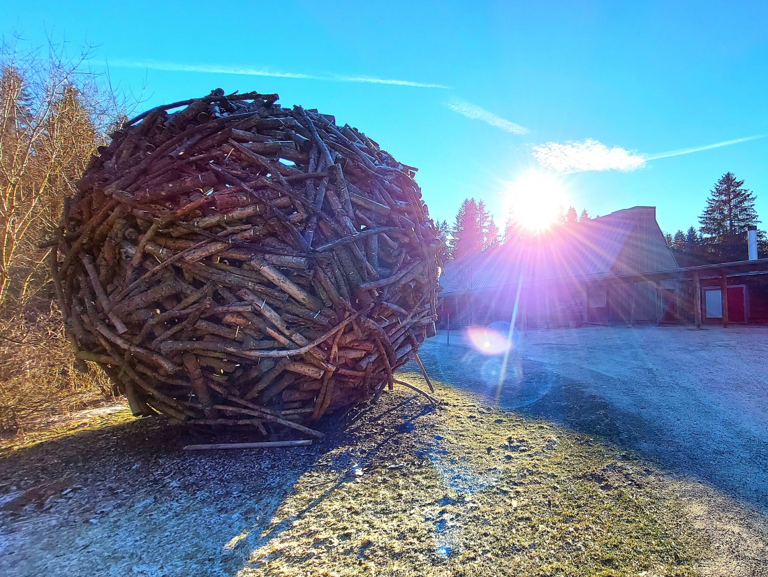 Foto: Martin Zehrer - Kunst am Wildgehege  