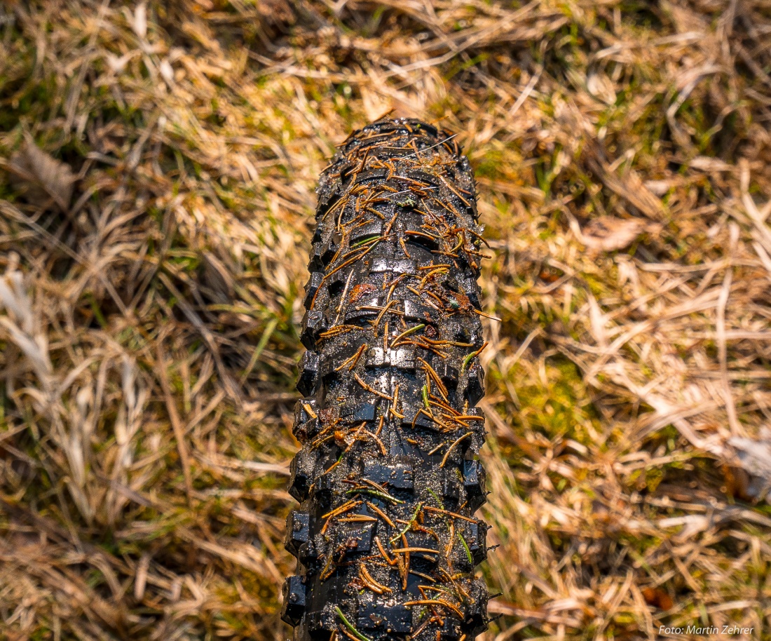 Foto: Martin Zehrer - Durch den Wald... 