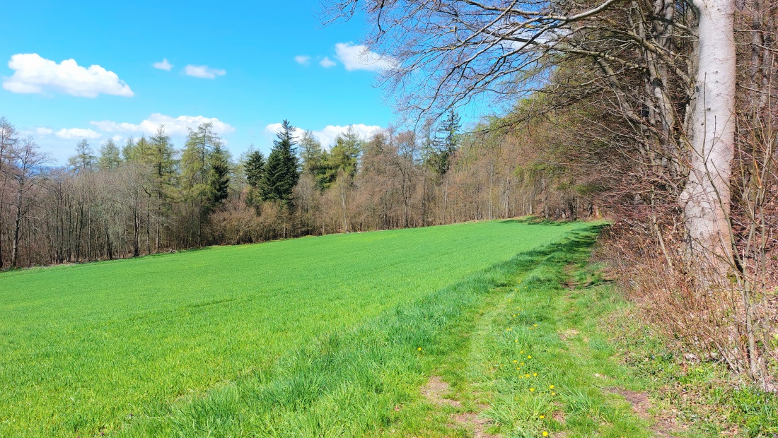 Foto: Martin Zehrer - Wandern... Wunderschönes Eckchen oben am Armesberg  