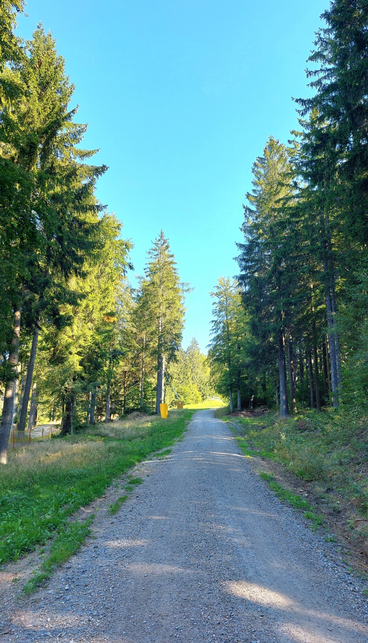 Foto: Martin Zehrer - Herrliches Wetter - Auf zum Gipfel...<br />
<br />
Wanderung zum Ochsenkopf hoch, 8. September 2023 am Vormittag. 