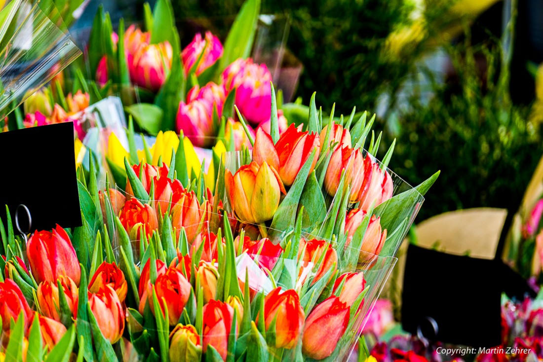 Foto: Martin Zehrer - Frühlingsblumen am Blumenstand ;-)<br />
<br />
Bayreuth, 5. März 2016 