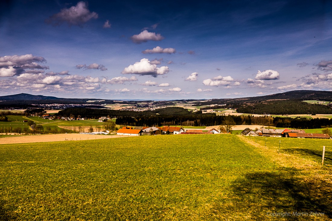 Foto: Martin Zehrer - Frühling auf dem Armesberg. Erste Hummeln fliegen durch die Gegend. Schmetterlinge lassen sich entdecken. Grüne kleine Pflanzen drücken mit aller Kraft durch das Herbstla 