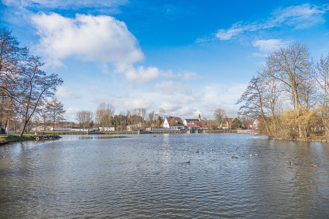 Foto: Martin Zehrer - Enten auf dem kemnather Stadtweiher und herrliches Frühlingswetter am 30. Januar 2018 