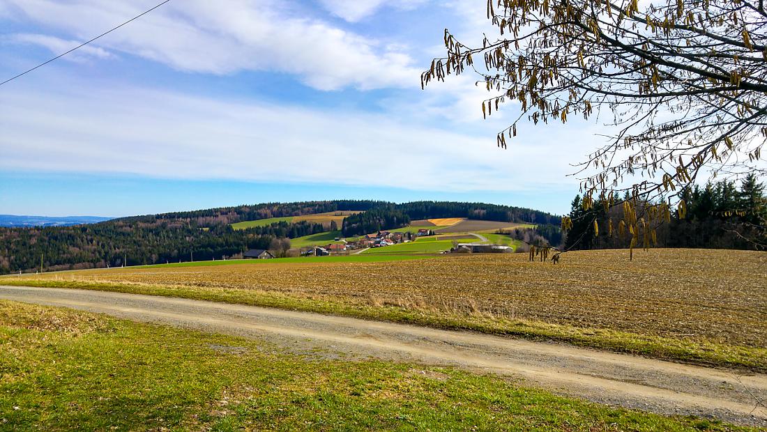 Foto: Martin Zehrer - Dort unten ist Godas - Das heimliche Zentrum der Oberpfalz! ,-) 