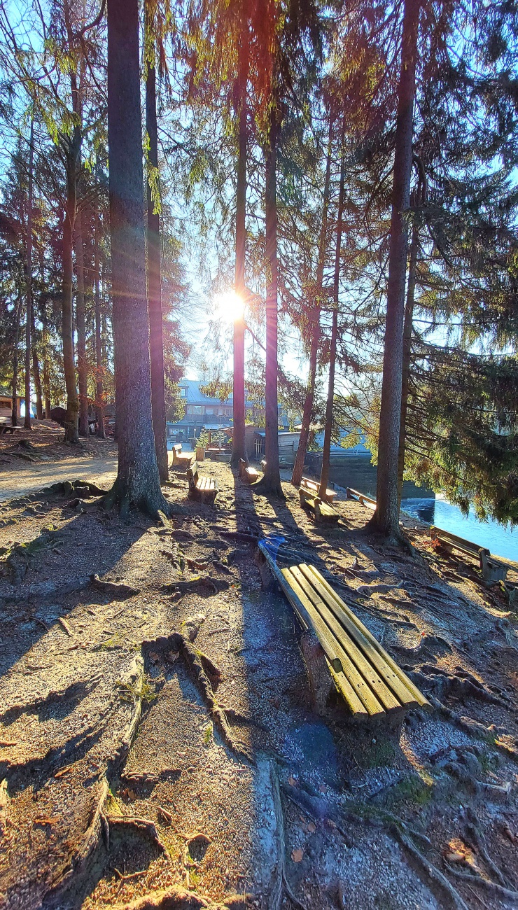 Foto: Martin Zehrer - Herrlich: die Wanderwege um den Fichtelsee in der Wintersonne. 