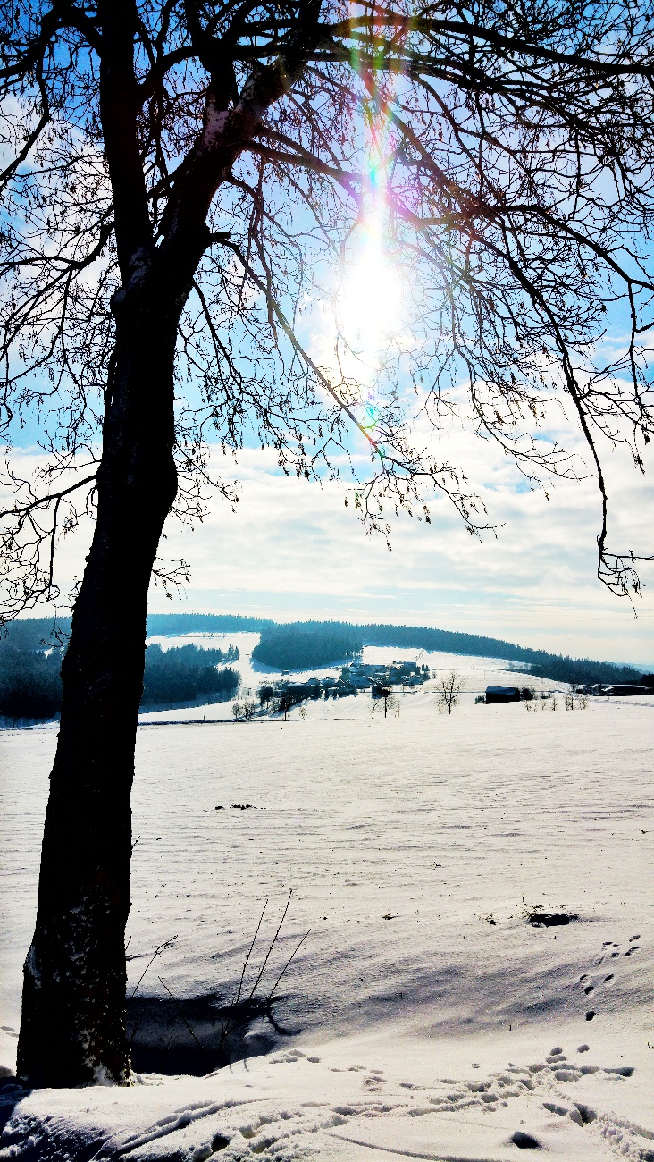 Foto: Jennifer Müller - Unglaublicher Spaziergang von Godas aus zum Armesberg hoch bei strahlender Sonne und -3 Grad am 31.01.2021 