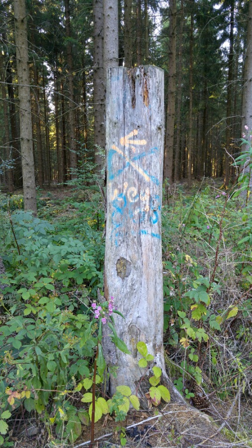 Foto: Martin Zehrer - Im Wald über Ebnath:<br />
Top Wegweiser - da kennt man sich sofort aus ;-) 