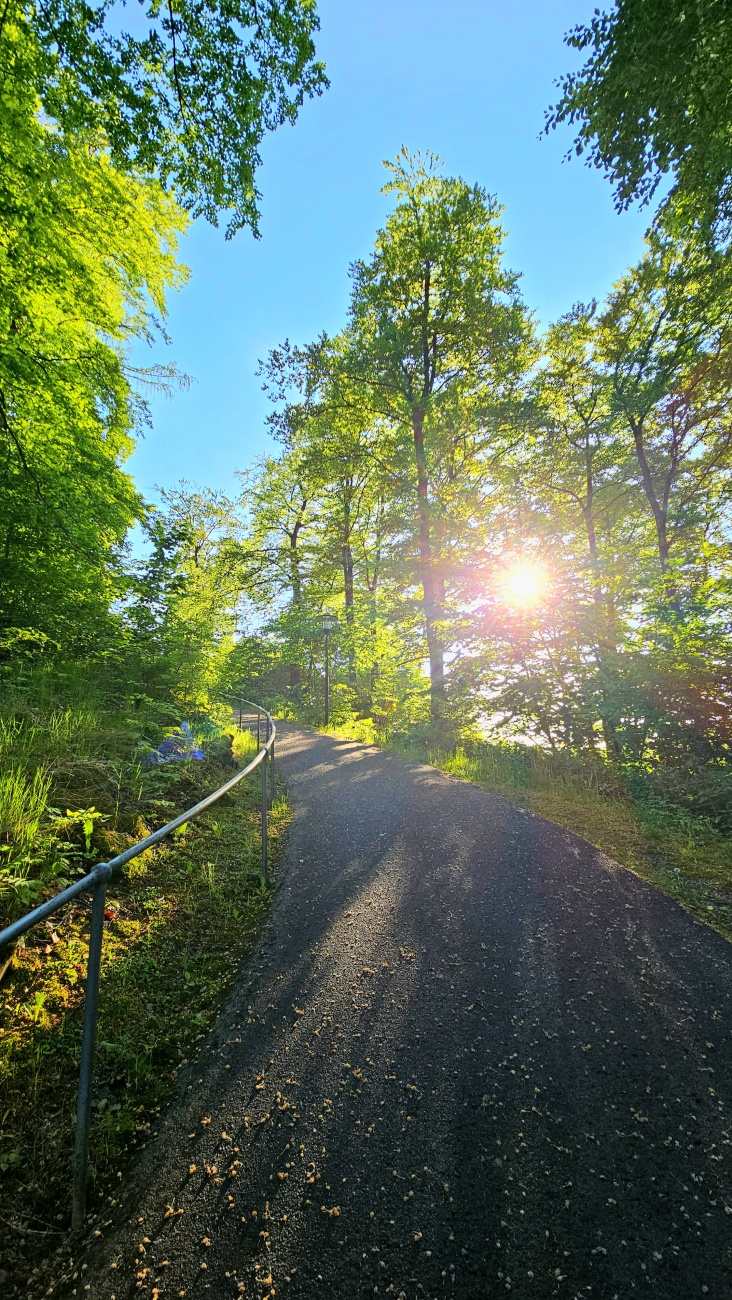 Der Weg zum Armesberg hoch...