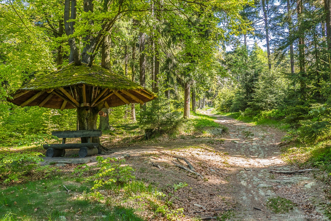 Foto: Martin Zehrer - Einfach mal rasten unterm Pilz?! Dieser Schirm befindet sich Mitten im Steinwald, am Anstieg zur Platte, wo sich auch der Oberpfalzturm befindet.<br />
<br />
Ziel ist eine Wanderu 