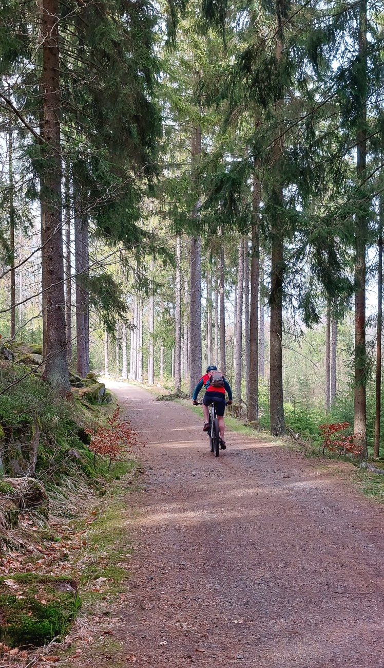 Foto: Martin Zehrer - Auch mit dem Rad kann man gut zur Burgruine Weißenstein fahren. 