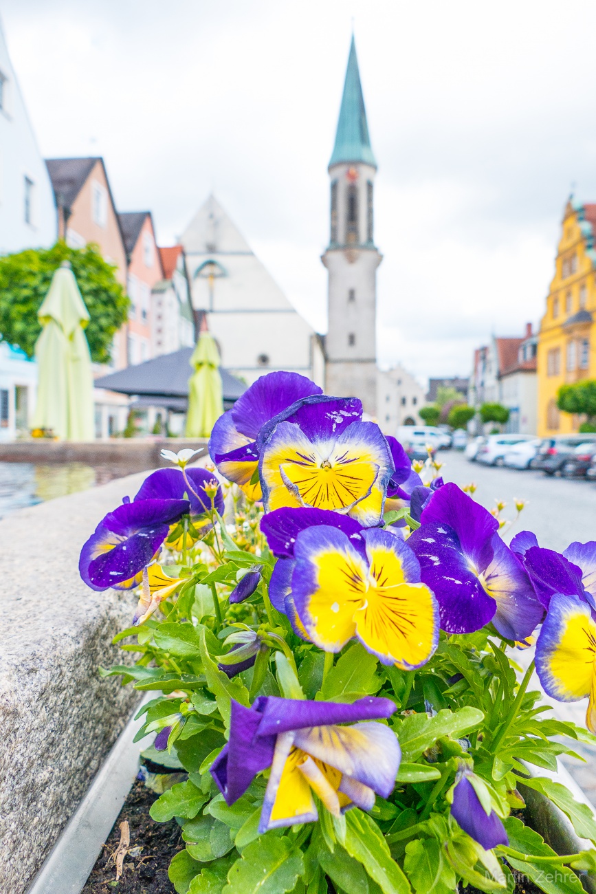 Foto: Maria - Frühling am Stadt-Brunnen in Kemnath... 