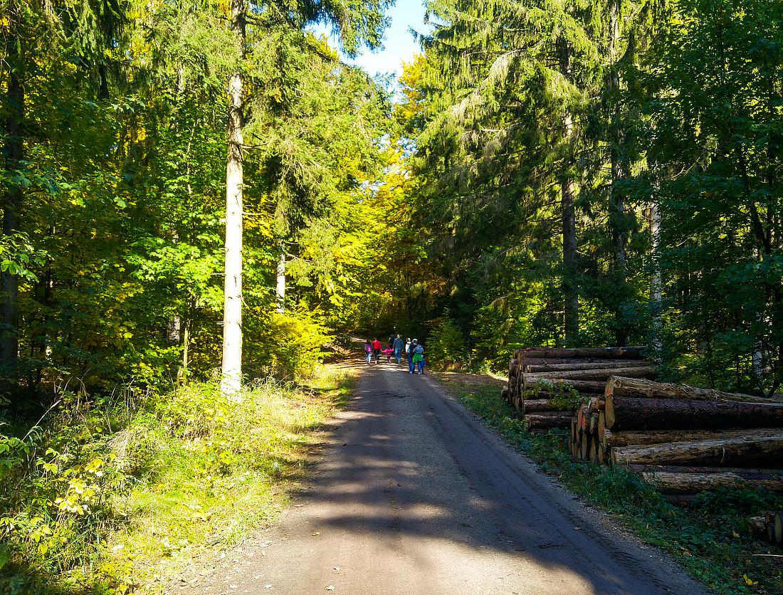 Foto: Martin Zehrer - Vormittags-Wanderung in den Steinwald. Der goldene Herbst ist mit ca. 22 Grad Temperatur, blauem Himmel und kräftigen Sonnenschein zurück...<br />
<br />
13.10.2019 