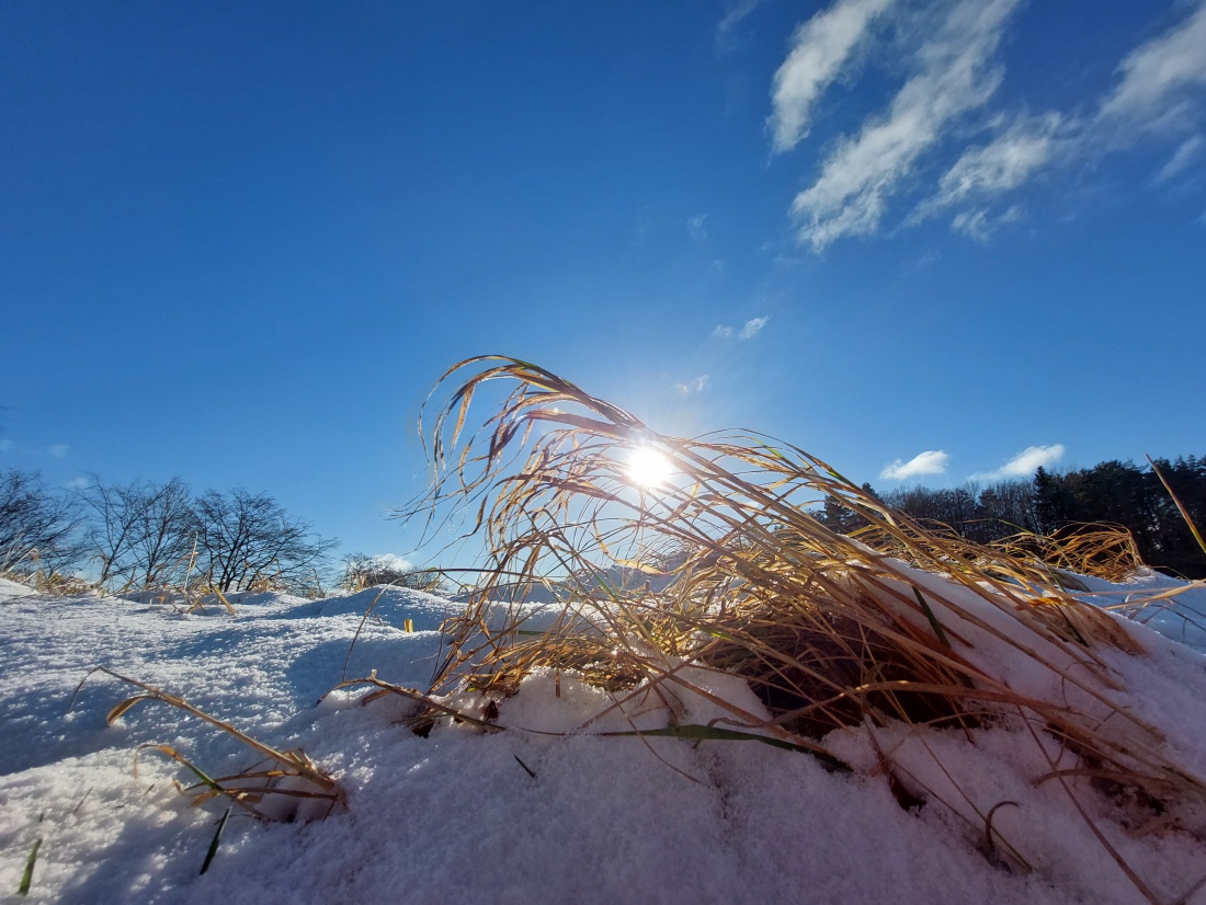 Foto: Martin Zehrer - Herrliche Winter-Wanderung zum waldecker Schlossberg.<br />
Sonne, blauer Himmel und ein Rucksack mit guter Brotzeit.<br />
Was für ein wunderschöner Tag zu zweit! :-) 