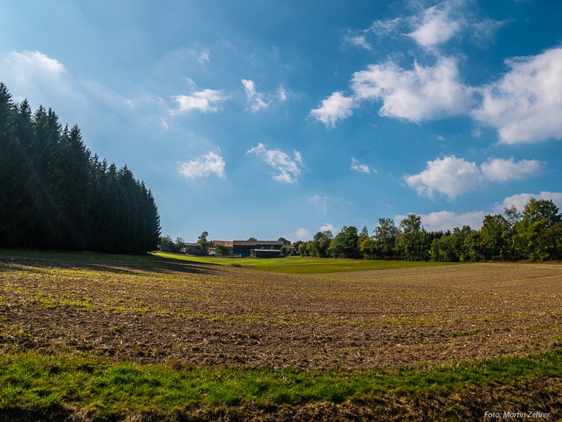 Foto: Martin Zehrer - Godas von unten... Hoch zum Zentrum! :-) 