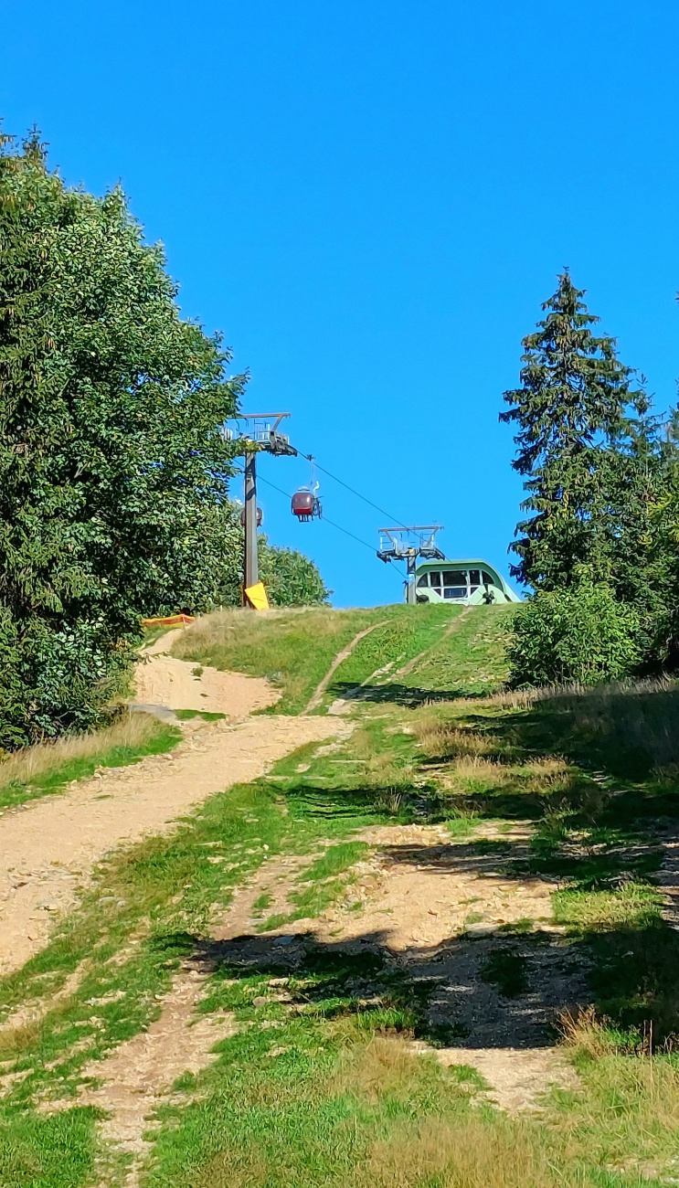 Foto: Martin Zehrer - Den Aufstieg fast geschafft...<br />
<br />
Oben ist bereits die Bergstation SÜD der Ochsenkopf-Seilbahn zu erkennen. Auch sieht man einen Teil der nach unten führenden Downhill-St 