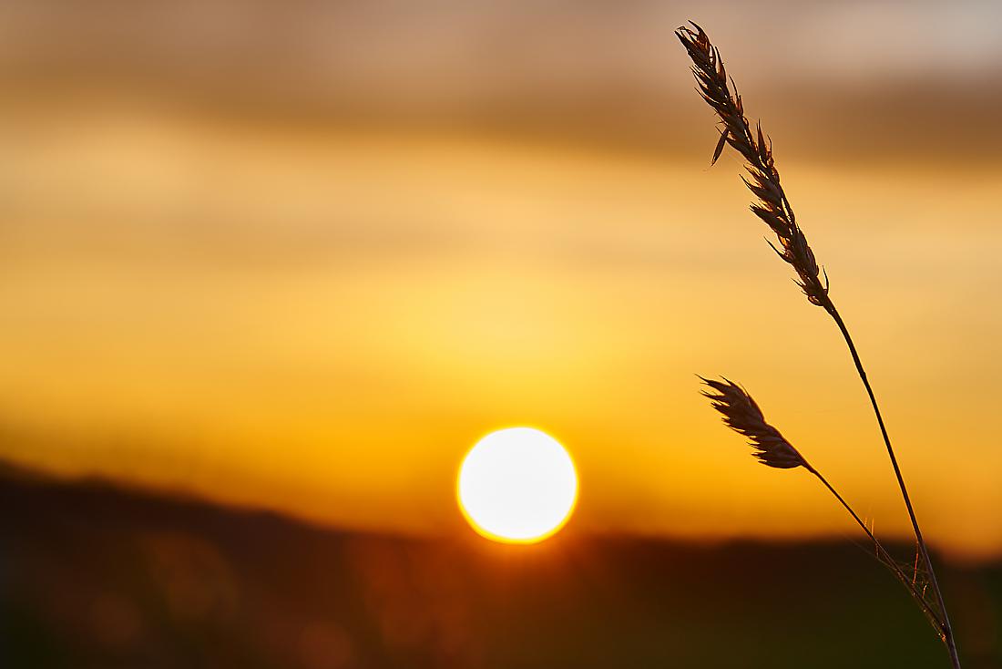 Foto: Martin Zehrer - Sonnenuntergang bei Immenreuth... ;-) 