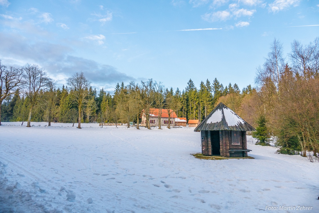 Foto: Martin Zehrer - Angekommen auf einer Lichtung im Steinwald und nur noch wenige Meter bis zum Waldhaus. Dort gibts eine Brotzeit, was zum Trinken und hoffentlich ist gut eingeschürt!!! ;- 