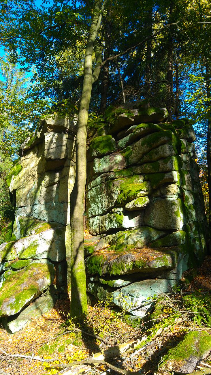 Foto: Martin Zehrer - Vormittags-Wanderung in den Steinwald. Der goldene Herbst ist mit ca. 22 Grad Temperatur, blauem Himmel und kräftigen Sonnenschein zurück...<br />
<br />
13.10.2019 