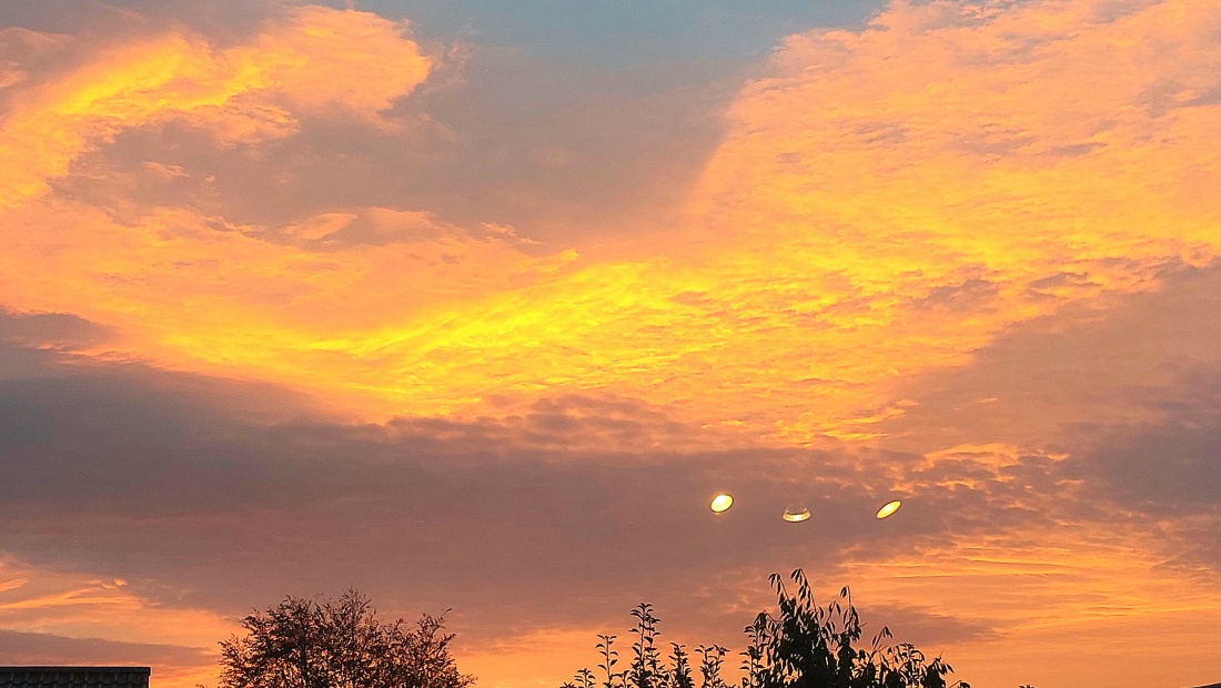 Foto: Martin Zehrer - Wenn Du morgens aus dem Fenster guckst... 