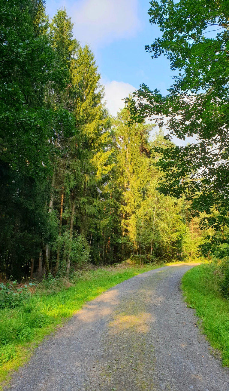 Foto: Martin Zehrer - Feierabend-Spaziergang bei Kemnath 