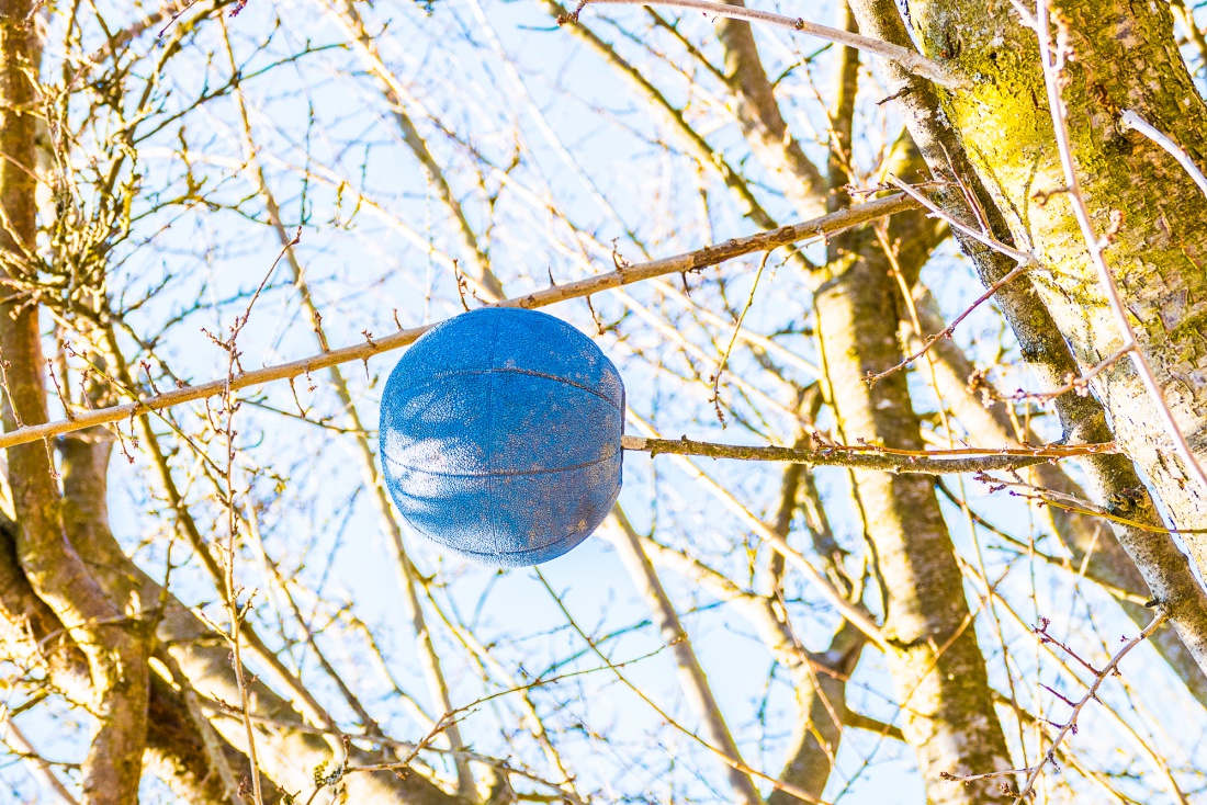 Foto: Martin Zehrer - Schon entdeckt? da hängt ein Ball in den Bäumen irgendwo in Kemnath :-D 