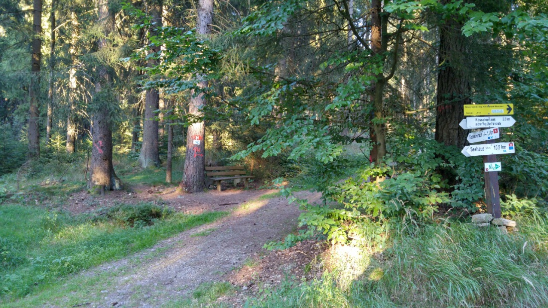 Foto: Martin Zehrer - Der direkte Weg zur Kösseine hinauf. Noch ca. ein Kilometer bergauf, dann ist man am Kösseine-Haus oben... 